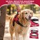 Copatchy No Pull Reflective Adjustable Dog Harness with Handle Comfortable Soft All Weather Mesh Easy On Puppy Harness for Small Medium and Large Dogs Red XLarge