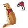 Copatchy No Pull Reflective Adjustable Dog Harness with Handle Comfortable Soft All Weather Mesh Easy On Puppy Harness for Small Medium and Large Dogs Red XLarge