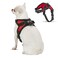 Copatchy No Pull Reflective Adjustable Dog Harness With Handle Comfortable Soft All Weather Mesh Easy On Puppy Harness For Small Medium and Large Dogs Red XSmall