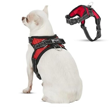 Copatchy No Pull Reflective Adjustable Dog Harness With Handle Comfortable Soft All Weather Mesh Easy On Puppy Harness For Small Medium and Large Dogs Red XSmall