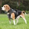 Cymiler Service Dog VestNoPull Dog Harness and Leash SetAdjustable Oxford Reflective Service Dog Vest Harness with Handle for Outdoor Walking TrainingEasy Control for Small Medium Large Dogs