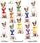 Dexil Limited Security Black Color Coded NonPull Front and Back D Ring Padded and Waterproof Vest Dog Harness Prevents Accidents by Warning Others of Your Dog in Advance XS