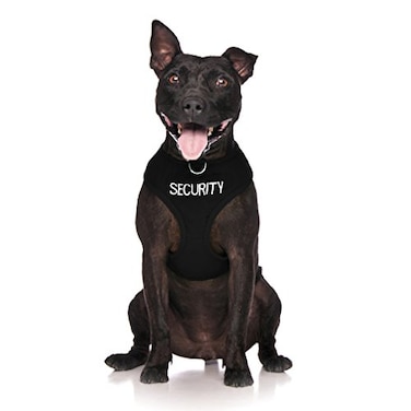 Dexil Limited Security Black Color Coded NonPull Front and Back D Ring Padded and Waterproof Vest Dog Harness Prevents Accidents by Warning Others of Your Dog in Advance XS