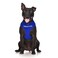 Dexil Limited Therapy Dog Blue Color Coded NonPull Front and Back D Ring Padded and Waterproof Vest Dog Harness Prevents Accidents by Warning Others of Your Dog in Advance XS