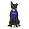 Dexil Limited Therapy Dog Blue Color Coded NonPull Front and Back D Ring Padded and Waterproof Vest Dog Harness Prevents Accidents by Warning Others of Your Dog in Advance XS