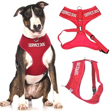 Dexil Limited Dexil SERVICE DOG Red Color Coded NonPull Front and Back D Ring Padded and Waterproof Vest Dog Harness PREVENTS Accidents By Warning Others Of Your Dog In Advance L