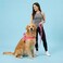 Didog Soft Flannel Padded Dog Vest Harness No PullQuick Fit Reflective Dog Strap Harness Easy for Training Walking MChest 2126 Pink