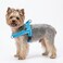 Didog Soft Flannel Padded Dog Vest Harness No PullQuick Fit Reflective Dog Strap Harness Easy for Training Walking XXSChest 1215 Blue