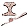 COOWONE Dog Cat Harness and Leash Set Puppia Soft Mesh Padded and Adjustable Puppy Vest Cute Dog Clothes Escape Proof Easy Walk Pet Accessories