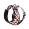 COOWONE Dog Cat Harness and Leash Set Puppia Soft Mesh Padded and Adjustable Puppy Vest Cute Dog Clothes Escape Proof Easy Walk Pet Accessories