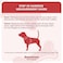 Downtown Pet Supply Step in Dog Harness for Small Dogs No Pull Large Hunter Green Adjustable Harness with Padded Mesh Fabric and Reflective Trim Buckle Strap Harness for Dogs