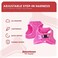 Downtown Pet Supply Stepin Dog Harness No Pull Adjustable Padded Mesh with Reflective Trim Secure Buckle Strap Comfortable Breathable Small Dog Harness Large Pink