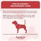 Downtown Pet Supply Stepin Dog Harness No Pull Adjustable Padded Mesh with Reflective Trim Secure Buckle Strap Comfortable Breathable Small Dog Harness Medium Charcoal