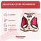 Downtown Pet Supply Stepin Dog Harness No Pull Adjustable Padded Mesh with Reflective Trim Secure Buckle Strap Comfortable Breathable Small Dog Harness XLarge Donut