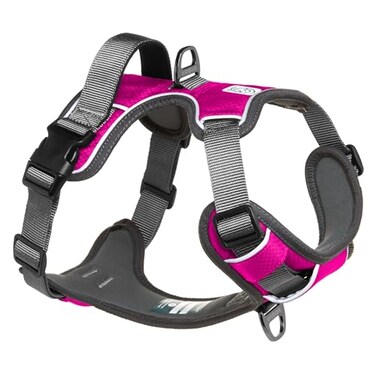 Embark Pets Embark Adventure Large Dog Harness NoPull Reflective Trim MilitaryGrade Nylon Front Clip with GelLined Handle