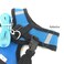 Emoly Soft Mesh Dog Harness Vest Small Dog Harness Night Reflective Adjustable Mesh Harness with Padded Vest and LeashOrange