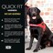 EzyDog Quick Fit Dog Harness No Pull Harness for Training Everyday Walking and Easy Control Adjustable Fit Reflective and Padded Small Gray