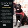 EzyDog Quick Fit Dog Harness No Pull Harness for Training Everyday Walking and Easy Control Adjustable Fit Reflective and Padded Small Gray