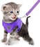 FEimaX Dog Harness and Leash Set for Walking Soft Mesh Adjustable Easy Control Lightweight Cat Vest Harnesses with Reflective Strips Escape Proof Small Dogs Cats Vests