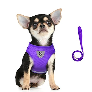 FEimaX Dog Harness and Leash Set for Walking Soft Mesh Adjustable Easy Control Lightweight Cat Vest Harnesses with Reflective Strips Escape Proof Small Dogs Cats Vests