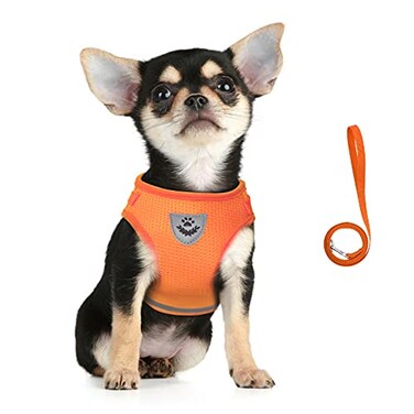 FEimaX Dog Harness and Leash Set for Walking Soft Mesh Adjustable Easy Control Lightweight Cat Vest Harnesses with Reflective Strips Escape Proof Small Dogs Cats Vests