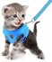 FEimaX Dog Harness and Leash Set for Walking Soft Mesh Adjustable Easy Control Lightweight Cat Vest Harnesses with Reflective Strips Escape Proof Small Dogs Cats Vests Azure Large