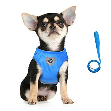 FEimaX Dog Harness and Leash Set for Walking Soft Mesh Adjustable Easy Control Lightweight Cat Vest Harnesses with Reflective Strips Escape Proof Small Dogs Cats Vests Azure Large