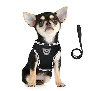 FEimaX Dog Harness and Leash Set for Walking Soft Mesh Adjustable Easy Control Lightweight Cat Vest Harnesses with Reflective Strips Escape Proof Small Dogs Cats Vests Cowblack Small