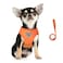 FEimaX Dog Harness and Leash Set for Walking Soft Mesh Adjustable Easy Control Lightweight Cat Vest Harnesses with Reflective Strips Escape Proof Small Dogs Cats Vests Orange Large