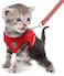 FEimaX Dog Harness and Leash Set for Walking Soft Mesh Adjustable Easy Control Lightweight Cat Vest Harnesses with Reflective Strips Escape Proof Small Dogs Cats Vests Red XSmall