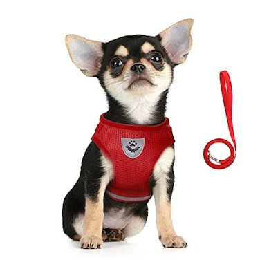 FEimaX Dog Harness and Leash Set for Walking Soft Mesh Adjustable Easy Control Lightweight Cat Vest Harnesses with Reflective Strips Escape Proof Small Dogs Cats Vests Red XSmall