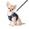 FEimaX Dog Harness and Leash Set No Pull Breathable Soft Mesh Puppy Vest Harness Reflective Adjustable Pet Harnesses for Small Medium Dogs and Cats Outdoor Easy Control for Walking