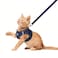 FEimaX Dog Harness and Leash Set No Pull Breathable Soft Mesh Puppy Vest Harness Reflective Adjustable Pet Harnesses for Small Medium Dogs and Cats Outdoor Easy Control for Walking
