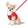 FEimaX Dog Harness and Leash Set No Pull Breathable Soft Mesh Puppy Vest Harness Reflective Adjustable Pet Harnesses for Small Medium Dogs and Cats Outdoor Easy Control for Walking