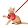 FEimaX Dog Harness and Leash Set No Pull Breathable Soft Mesh Puppy Vest Harness Reflective Adjustable Pet Harnesses for Small Medium Dogs and Cats Outdoor Easy Control for Walking