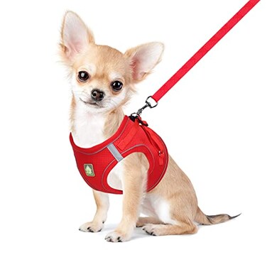 FEimaX Dog Harness and Leash Set No Pull Breathable Soft Mesh Puppy Vest Harness Reflective Adjustable Pet Harnesses for Small Medium Dogs and Cats Outdoor Easy Control for Walking