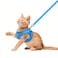 FEimaX Dog Harness and Leash Set No Pull Breathable Soft Mesh Puppy Vest Harness Reflective Adjustable Pet Harnesses for Small Medium Dogs and Cats Outdoor Easy Control for Walking