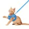 FEimaX Dog Harness and Leash Set No Pull Breathable Soft Mesh Puppy Vest Harness Reflective Adjustable Pet Harnesses for Small Medium Dogs and Cats Outdoor Easy Control for Walking