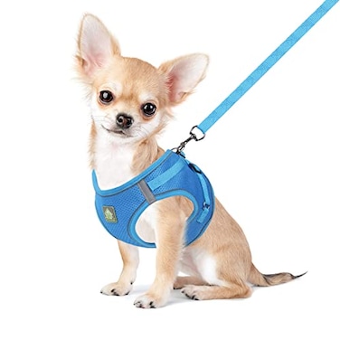 FEimaX Dog Harness and Leash Set No Pull Breathable Soft Mesh Puppy Vest Harness Reflective Adjustable Pet Harnesses for Small Medium Dogs and Cats Outdoor Easy Control for Walking