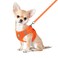 FEimaX Dog Harness and Leash Set No Pull Breathable Soft Mesh Puppy Vest Harness Reflective Adjustable Pet Harnesses for Small Medium Dogs and Cats Outdoor Easy Control for Walking