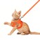 FEimaX Dog Harness and Leash Set No Pull Breathable Soft Mesh Puppy Vest Harness Reflective Adjustable Pet Harnesses for Small Medium Dogs and Cats Outdoor Easy Control for Walking