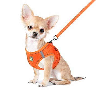 FEimaX Dog Harness and Leash Set No Pull Breathable Soft Mesh Puppy Vest Harness Reflective Adjustable Pet Harnesses for Small Medium Dogs and Cats Outdoor Easy Control for Walking