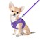 FEimaX Dog Harness and Leash Set NoPull Breathable Soft Mesh Puppy Vest Harness Reflective Adjustable Pet Harnesses for Small Medium Dogs and Cats Outdoor Easy Control for Walking