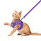 FEimaX Dog Harness and Leash Set NoPull Breathable Soft Mesh Puppy Vest Harness Reflective Adjustable Pet Harnesses for Small Medium Dogs and Cats Outdoor Easy Control for Walking