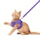 FEimaX Dog Harness and Leash Set NoPull Breathable Soft Mesh Puppy Vest Harness Reflective Adjustable Pet Harnesses for Small Medium Dogs and Cats Outdoor Easy Control for Walking