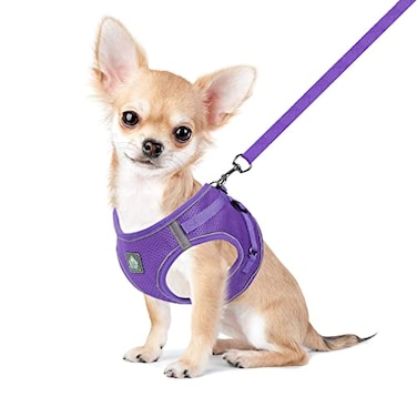 FEimaX Dog Harness and Leash Set NoPull Breathable Soft Mesh Puppy Vest Harness Reflective Adjustable Pet Harnesses for Small Medium Dogs and Cats Outdoor Easy Control for Walking