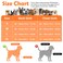 Funfox Dog Harness No Pull Adjustable Pet Vest Harness Super Soft Material with Vertical Handle Easy Control Reflective Night Walking 2 Leash Clips for Medium Sized Dogs Orange M