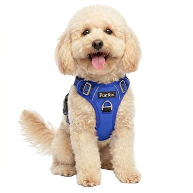 Funfox Dog Harness No Pull Adjustable Pet Vest Harness Super Soft Material with Vertical Handle Easy Control Reflective Night Walking 2 Leash Clips for Small Sized Dogs Blue S