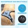 FURRYFECTION Plaid Dog Harness for Small Dogs Reflective No Pull Adjustable Pet Vest with Front Clip Leash Easy Control Handle and Seat Belt BlueWhite S