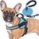 haapaw Haapaw Essential Dog Harness No Pull Pet Vest with 3 Leash Clips No Choke Reflective Adjustable and Padded for Easy Walking and Training for Small DogsS Blue